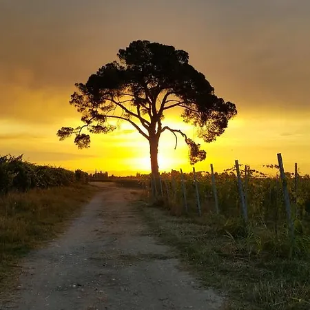 Pie Castello Couette-café 3*