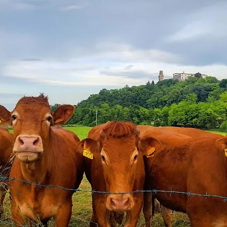 Oda ve Kahvaltı Pie Castello 3*