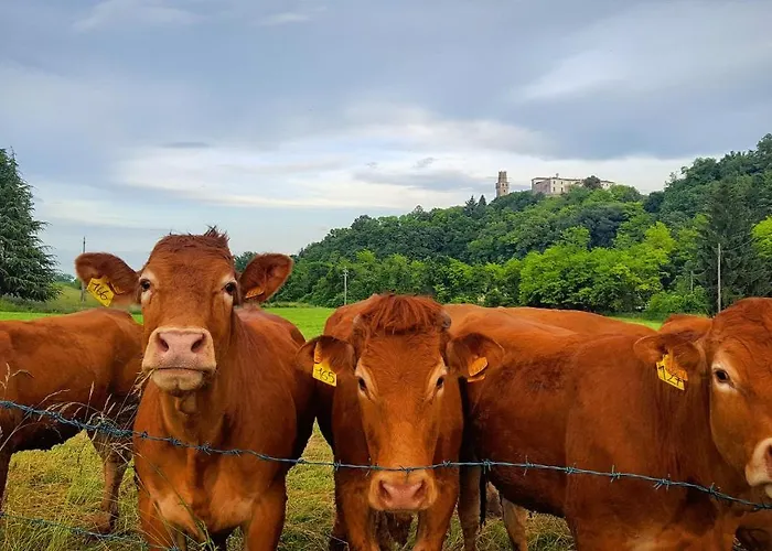 Bed and breakfast Pie Castello 3*